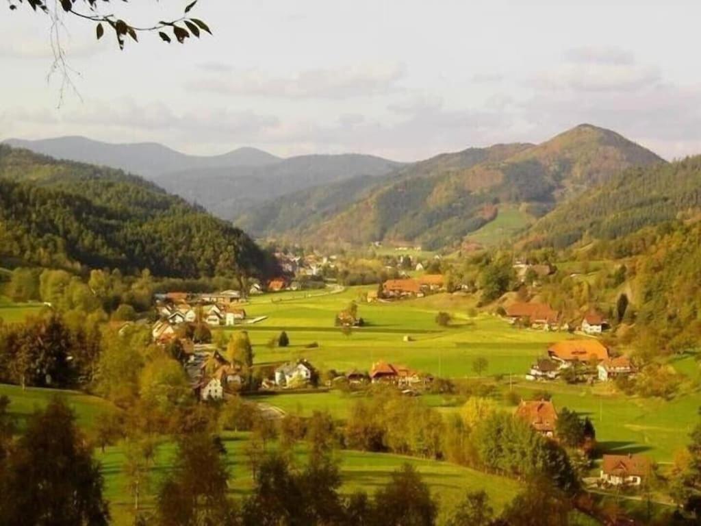 Oberbauernhof - Wohnung "Am Garten" -- Moderne Fewo Im Schoenen Schwarzwaldhaus Гутах Экстерьер фото